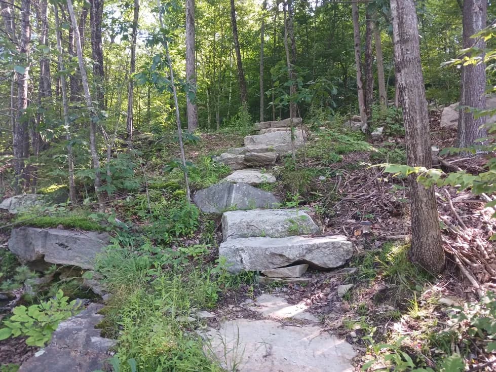Scenic Hiking Trails